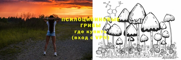 таблы Богданович